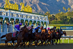 34th Horse Dies at Santa Anita Racetrack