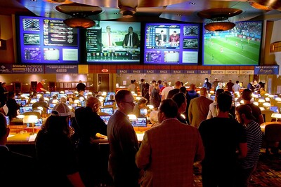 Research Defines Sports Bettors, From Dedicated to Casual