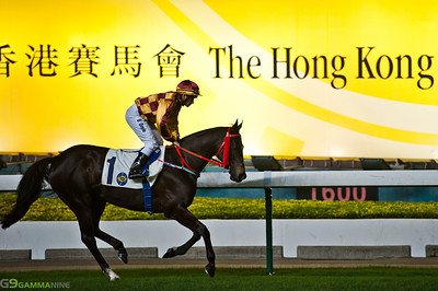 Hong Kong Jockey Club Sets Wagering Record